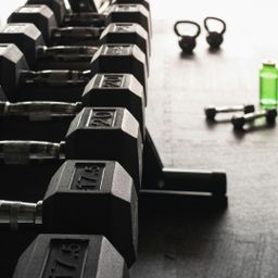 Wie Krafttraining den Stoffwechsel verändert – Ein Blick aus sportphysiotherapeutischer Perspektive
