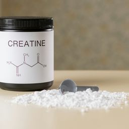 Kreatin: Das am besten erforschte Supplement – und seine hartnäckigsten Mythen